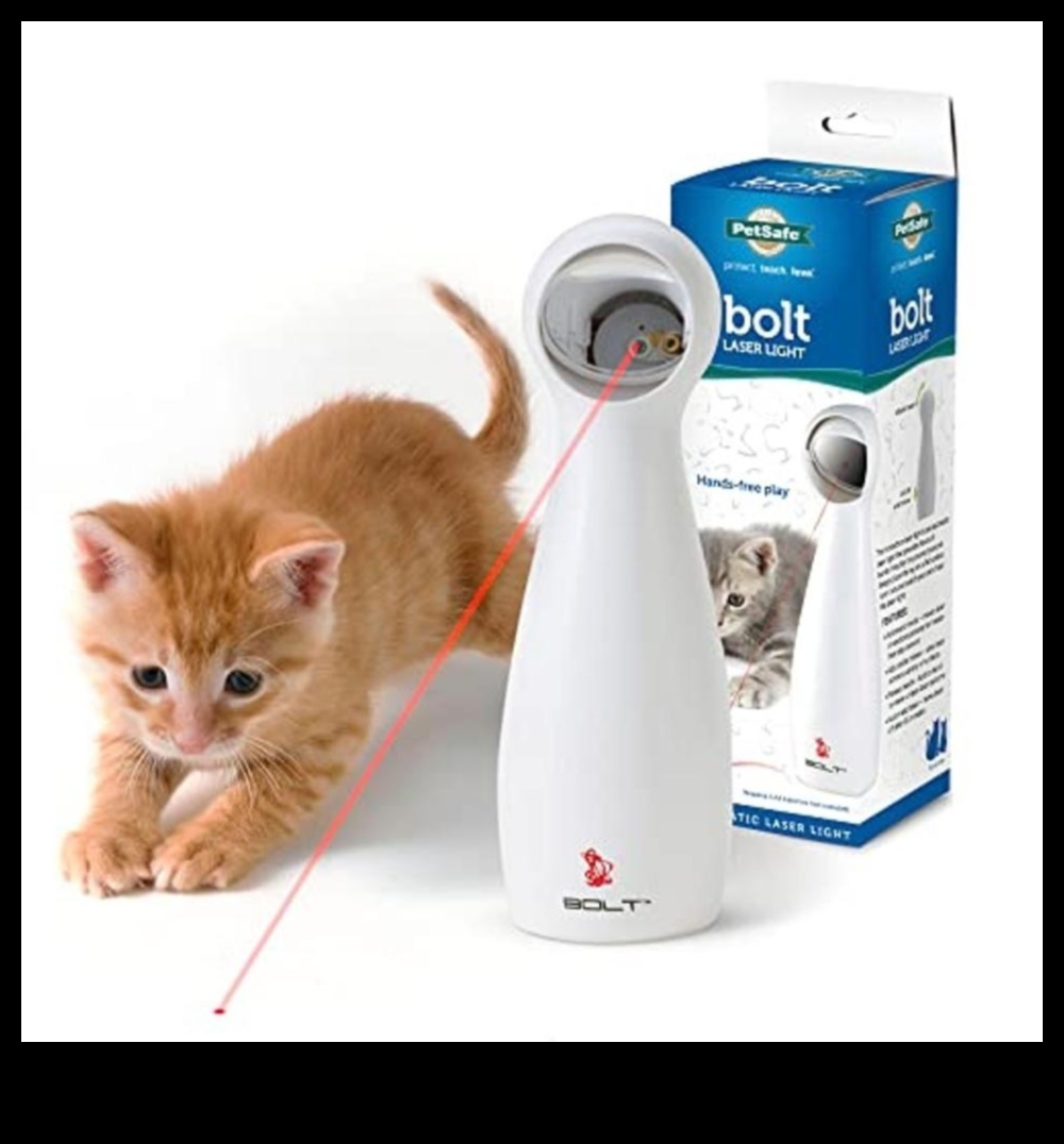 Gudri ūsas: dāvanas kaķu mīļotājiem