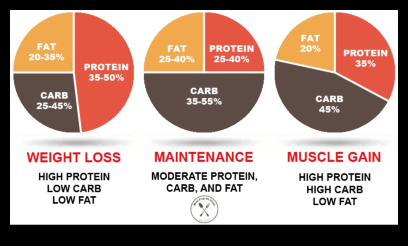 Makroelementu sadalīšana: līdzsvarotu attiecību ceļvedis