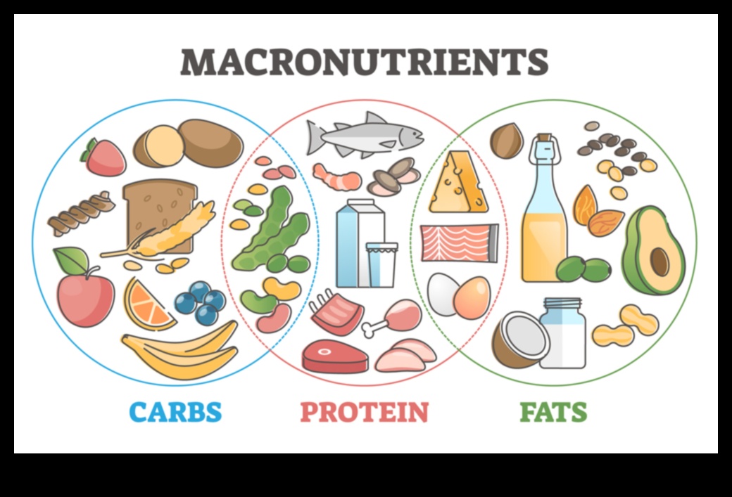 Makroelementu sadalīšana: līdzsvarotu attiecību ceļvedis