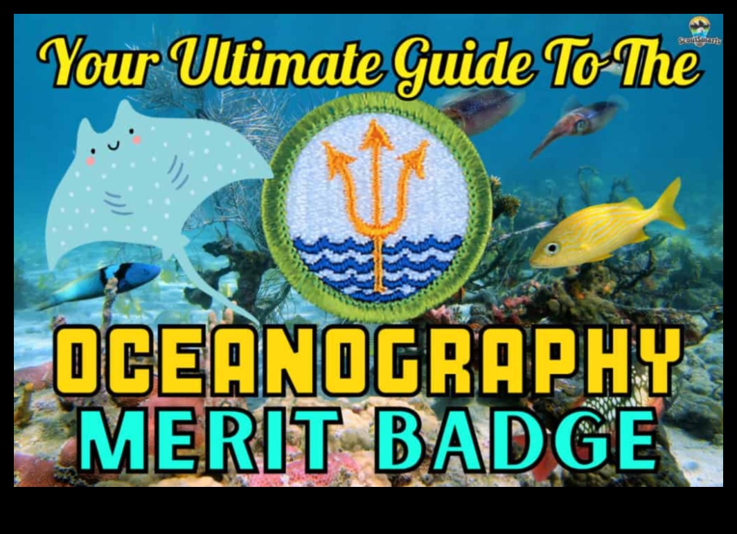 Strāvu diagrammu veidošana. Galīgais ceļvedis ceļojumu viļņu pārvarēšanai 4 Straumju kartēšana: ceļošanas padomu viļņi