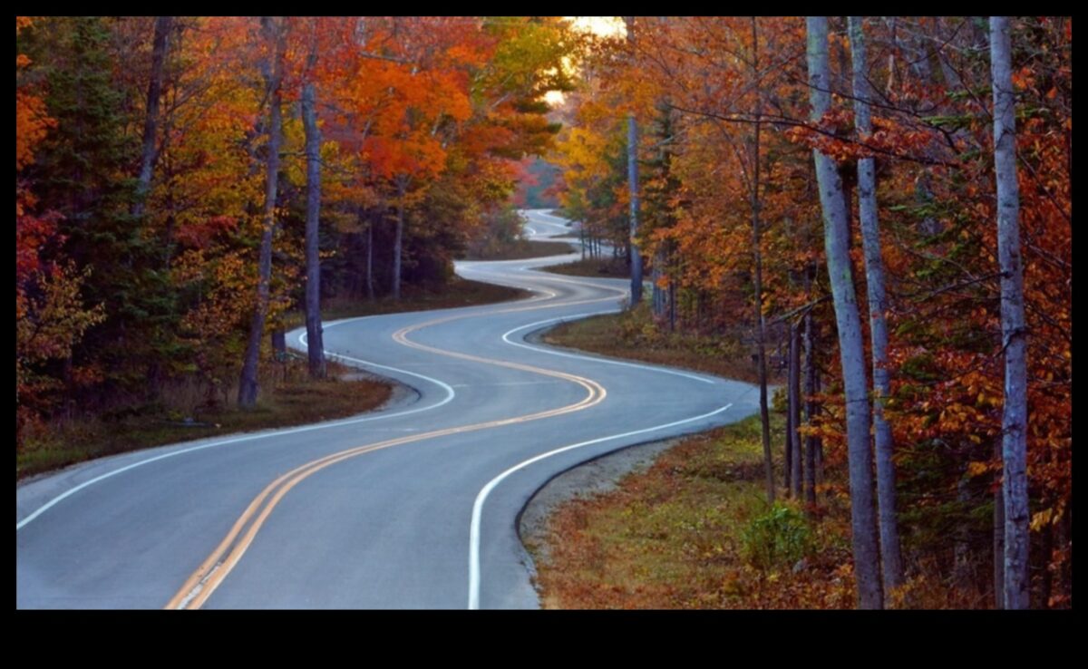 Ilgtermiņa diētas un svara uzturēšana pēc diētas: veiksmes stratēģijas