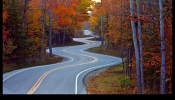 Ilgtermiņa diētas un svara uzturēšana pēc diētas: veiksmes stratēģijas