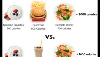 Olbaltumvielu un svara uzturēšana: stratēģijas ilgtermiņa panākumiem