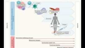 Keto un hronisku slimību profilakse: visaptverošs ceļvedis