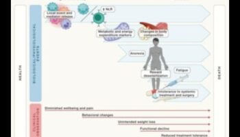 Keto un hronisku slimību profilakse: visaptverošs ceļvedis