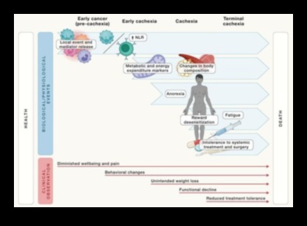 Keto un hronisku slimību profilakse: visaptverošs ceļvedis