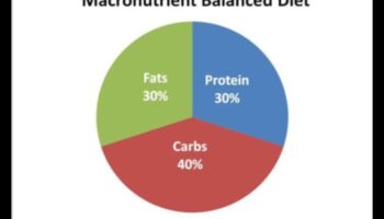 Makroelementu sadalīšana: līdzsvarotu attiecību ceļvedis