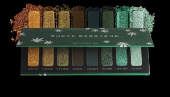 Paletes pilnība: labi sabalansētas acu ēnu kolekcijas anatomija