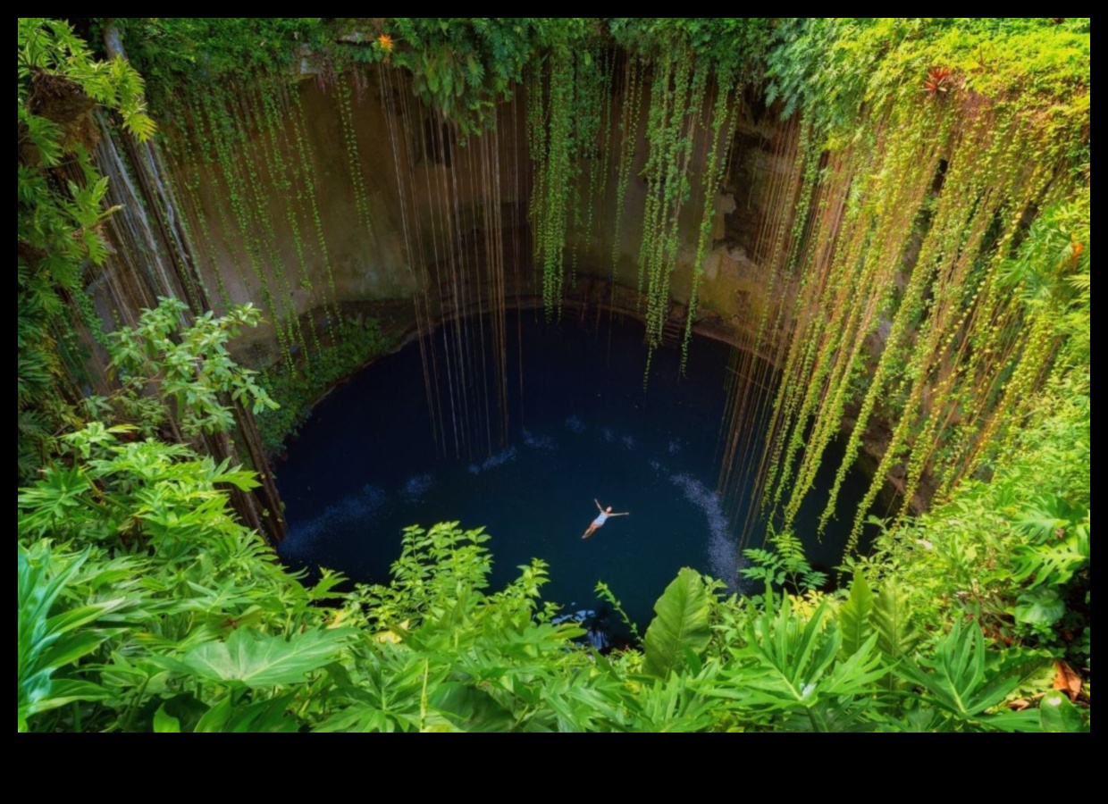 Pocket Paradise Jūsu oāze tuvumā esošajām vietējām apskates vietām 50 jūdžu rādiusā 1 Kabatas paradīze: jūsu oāze tuvumā esošajām vietējām apskates vietām