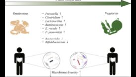 Veģetārisms un mikrobioms: kāda ir saikne?