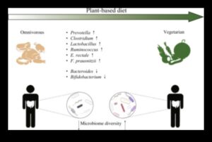 Veģetārisms un mikrobioms: kāda ir saikne?