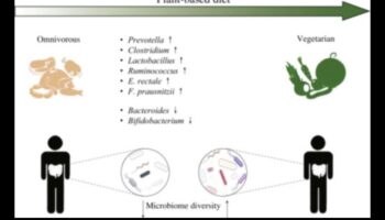 Veģetārisms un mikrobioms: kāda ir saikne?